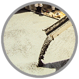 second Feature Image